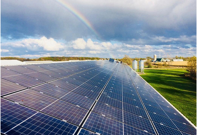 broiler farm with solar panels