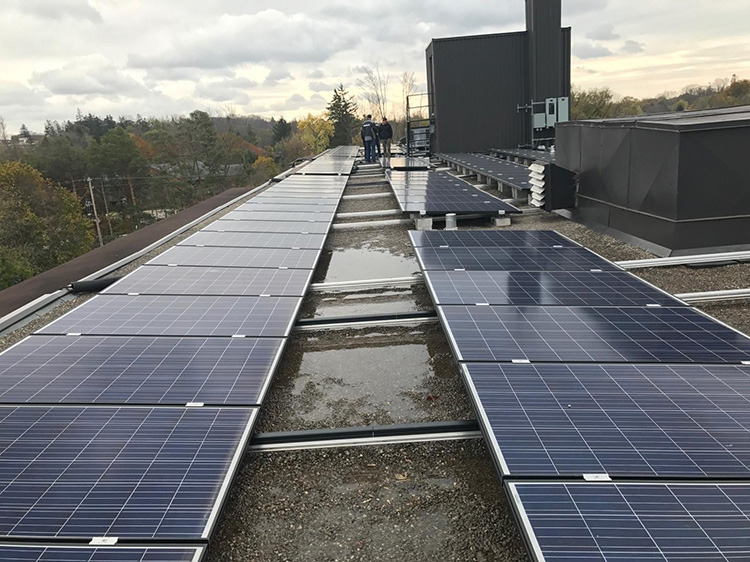 solar panels on a flat roof