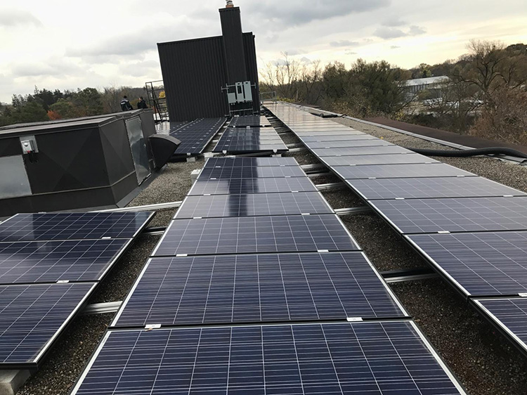 solar panels on a flat roof